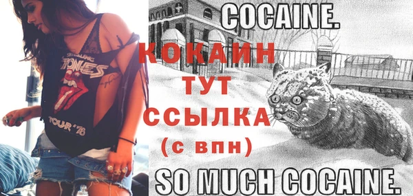 ешки Заводоуковск
