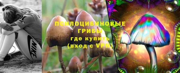 ешки Заводоуковск