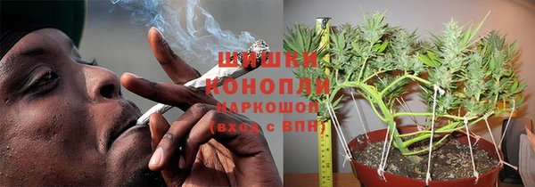 ешки Заводоуковск