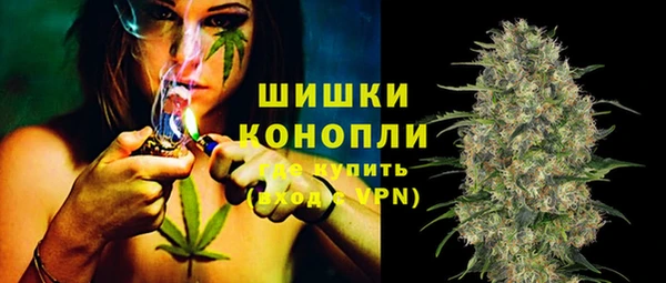 ешки Заводоуковск