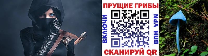 Псилоцибиновые грибы Cubensis  Купить  Спас-Деменск 